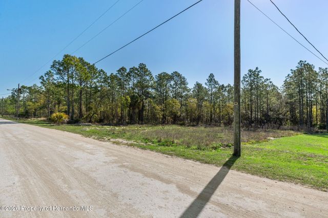 12348 Snowy Egret Avenue, Spring Hill, FL 34606