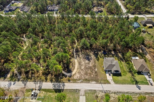 12348 Snowy Egret Avenue, Spring Hill, FL 34606