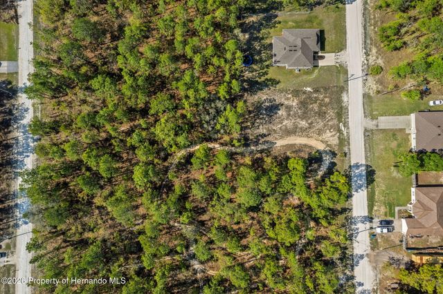 12348 Snowy Egret Avenue, Spring Hill, FL 34606