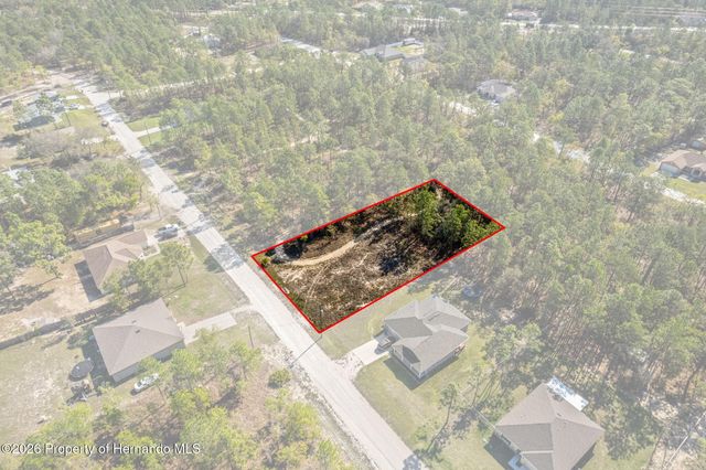 12348 Snowy Egret Avenue, Spring Hill, FL 34606
