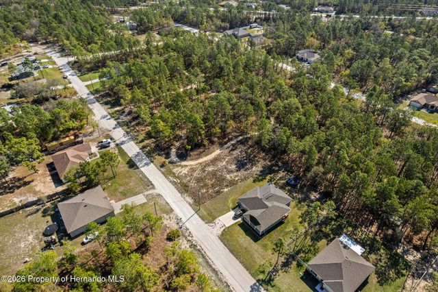 12348 Snowy Egret Avenue, Spring Hill, FL 34606