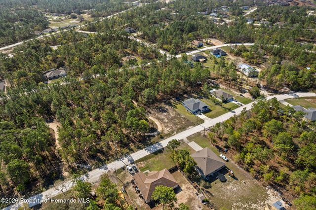 12348 Snowy Egret Avenue, Spring Hill, FL 34606