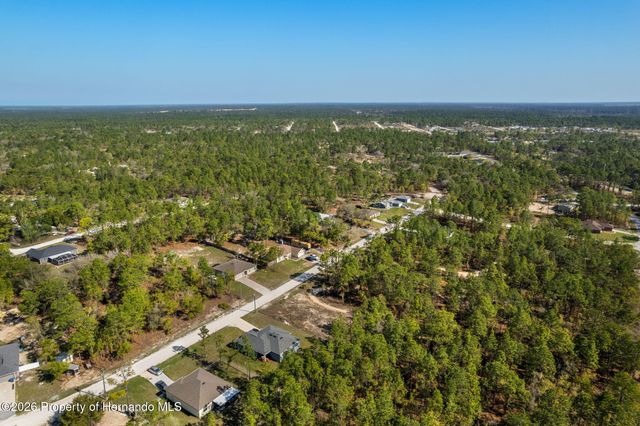 12348 Snowy Egret Avenue, Spring Hill, FL 34606