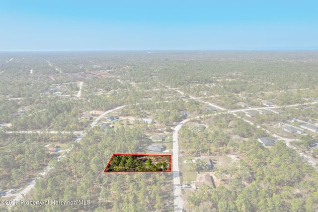 12348 Snowy Egret Avenue, Spring Hill, FL 34606