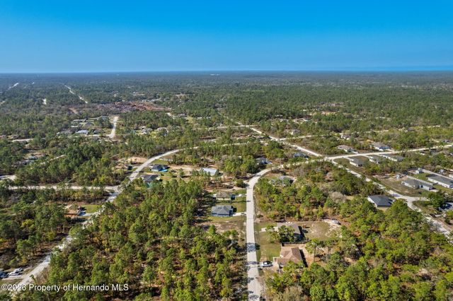 12348 Snowy Egret Avenue, Spring Hill, FL 34606