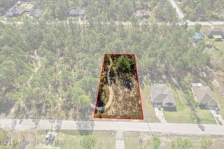 12348 Snowy Egret Avenue, Spring Hill, FL 34606