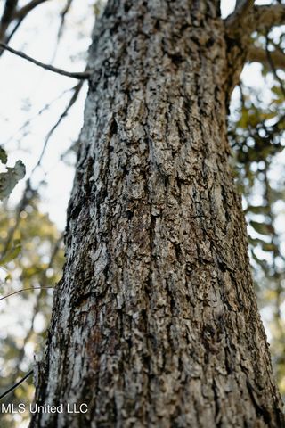 104 Sunset Drive, Clinton, MS 39056