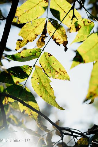 104 Sunset Drive, Clinton, MS 39056