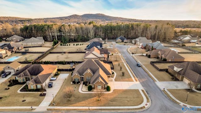 127 Twin Springs Drive, Harvest, AL 35749