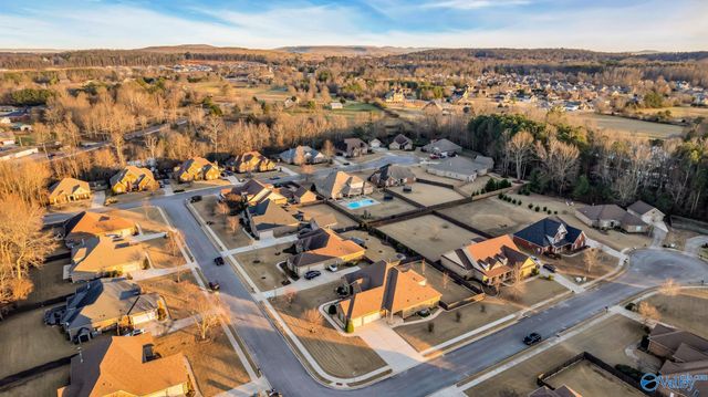 127 Twin Springs Drive, Harvest, AL 35749