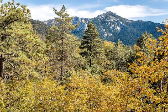 24883 Ponderosa Drive, Idyllwild, CA 92549