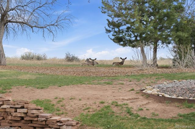 4 Blue Grouse Ridge Road, Littleton, CO 80127