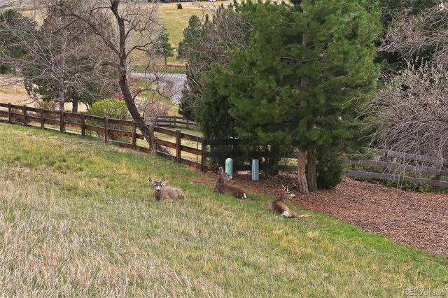 4 Blue Grouse Ridge Road, Littleton, CO 80127