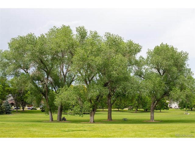 175 S Jasmine St, Denver, CO 80224