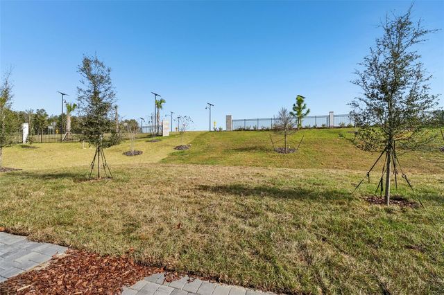 705 SPARTINA WAY, Lady Lake, FL 32159