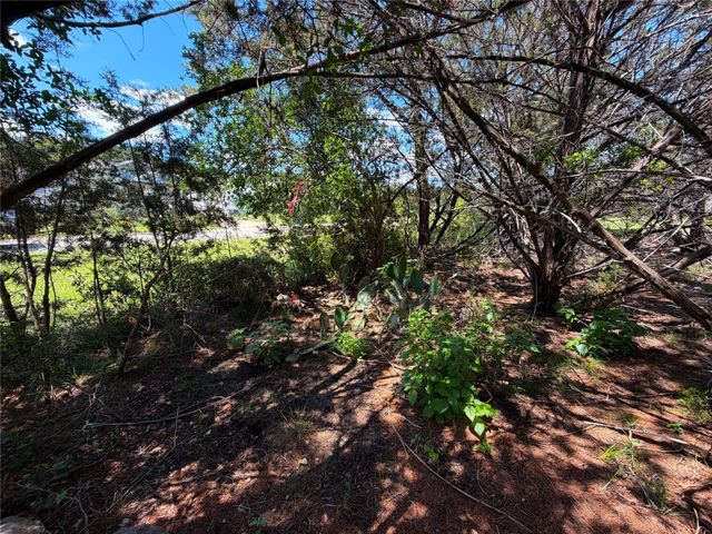 560 Hummingbird HL, Canyon Lake, TX 78133