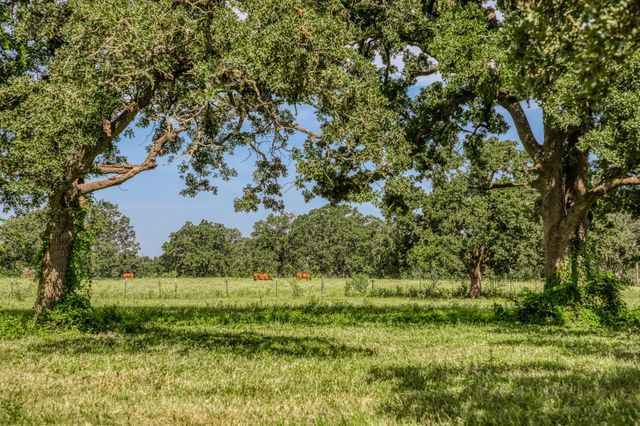 14125 County Road 164, Iola, TX 77861