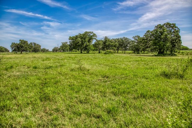 14125 County Road 164, Iola, TX 77861