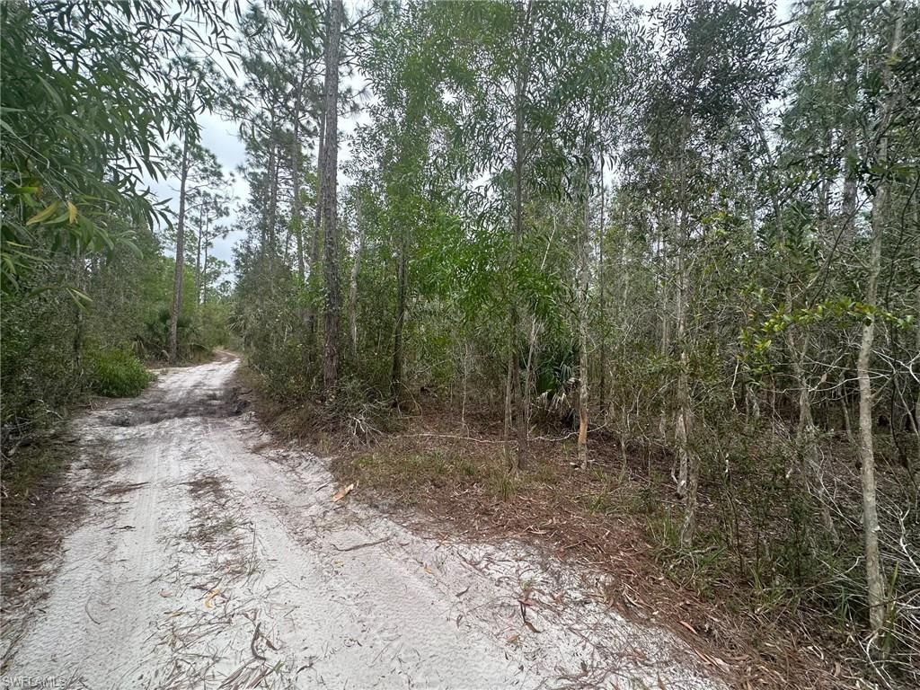 2258 Brooklawn DR, NORTH FORT MYERS, FL 33917 — photo 3