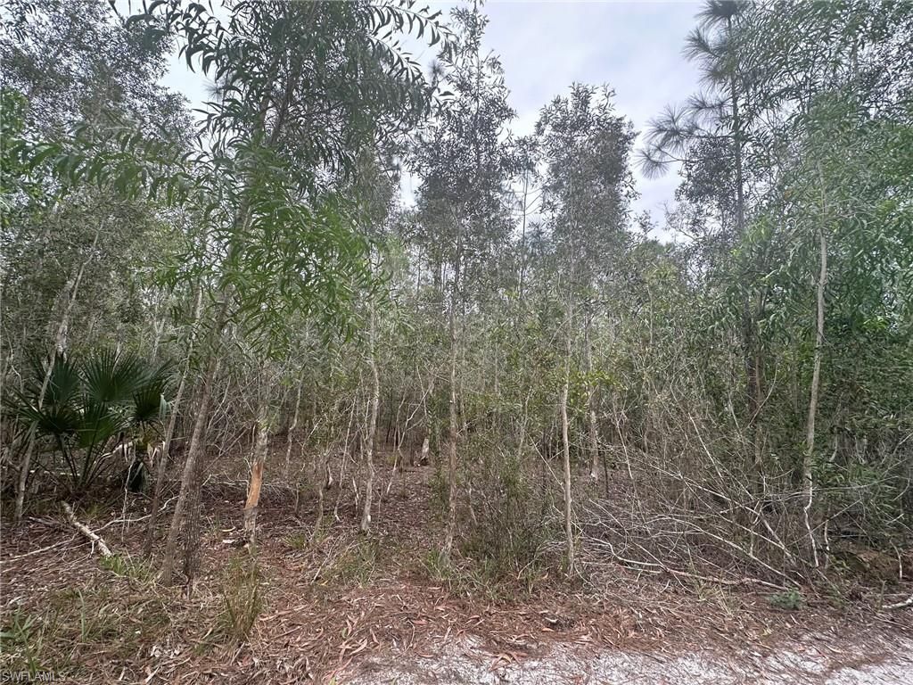 2258 Brooklawn DR, NORTH FORT MYERS, FL 33917 — photo 4