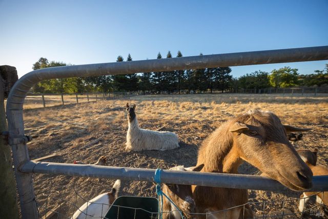 4100 Bisordi Ln, Santa Rosa, CA 95439