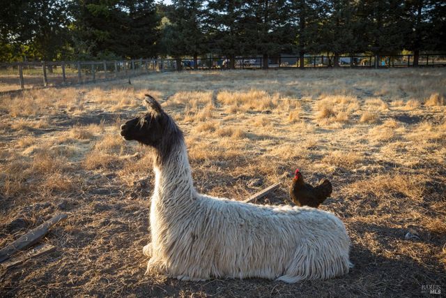 4100 Bisordi Ln, Santa Rosa, CA 95439