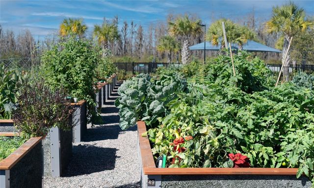 19724 SHIP WHEEL WAY, Land O Lakes, FL 34638