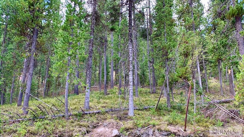 Image 3 of property listing at 4256 Mountain View Drive, Island Park, ID 83429