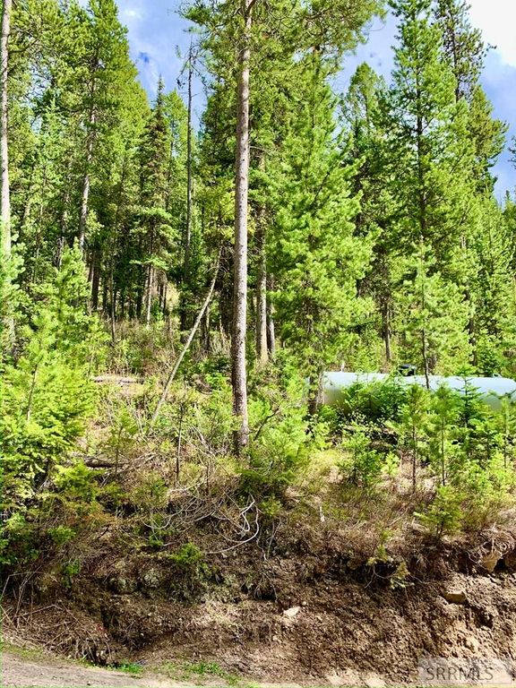 Image 5 of property listing at 4256 Mountain View Drive, Island Park, ID 83429