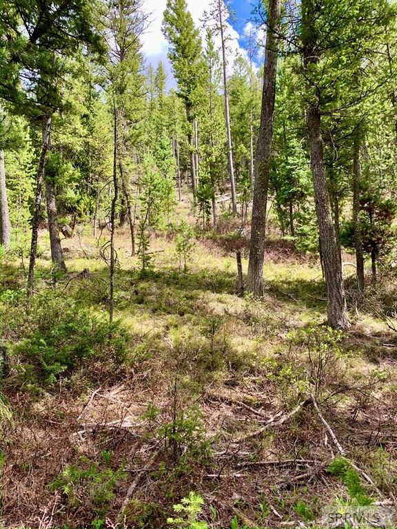 Image 6 of property listing at 4256 Mountain View Drive, Island Park, ID 83429