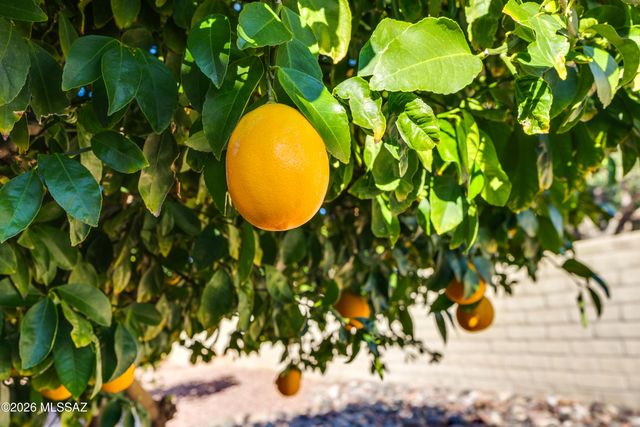 2315 E Bonita Canyon Drive, Green Valley, AZ 85614