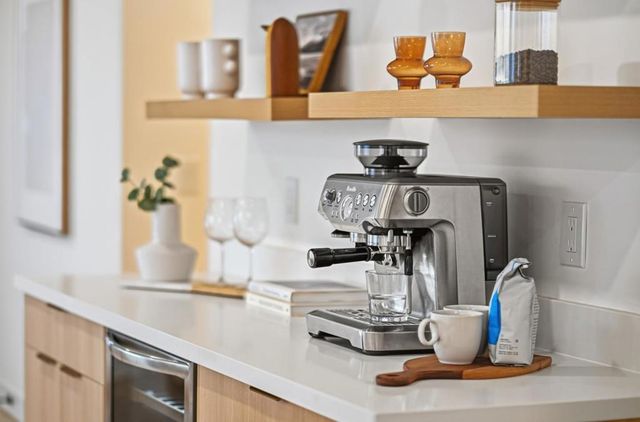 263 Vineyard Dr, San Jose, CA 95119