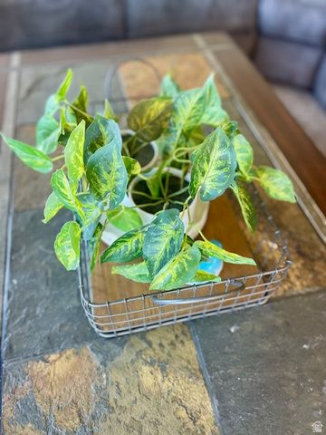 8009 S HAYDEN PARK ST, West Jordan, UT 84081