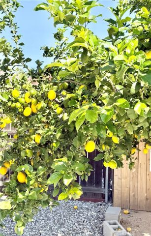 13634 Vellanto Way, Moreno Valley, CA 92553