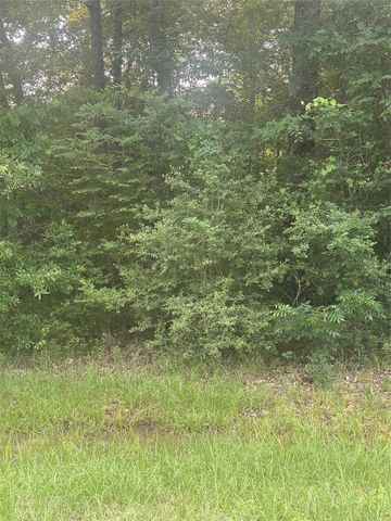 TBD Knottypine, Livingston, TX 77351