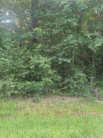TBD Knottypine, Livingston, TX 77351