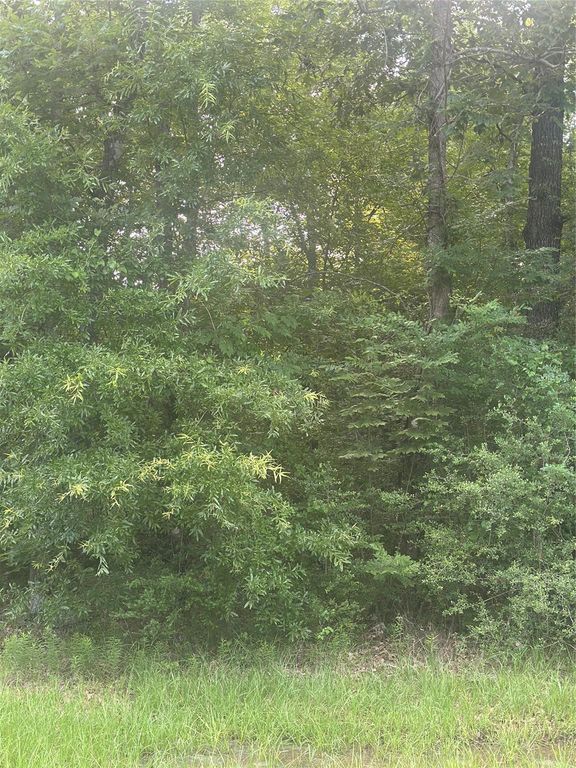 TBD Knottypine, Livingston, TX 77351