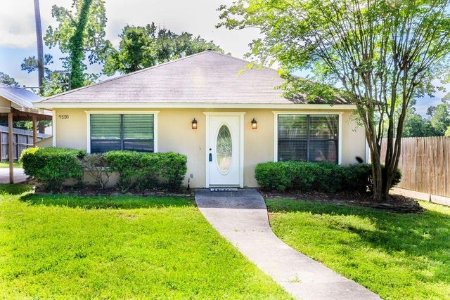 9550 Thousand Oaks Loop, Montgomery, TX 77316