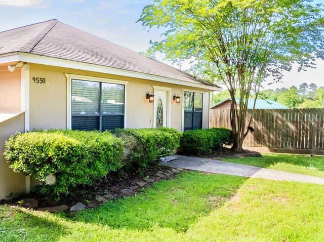 9550 Thousand Oaks Loop, Montgomery, TX 77316