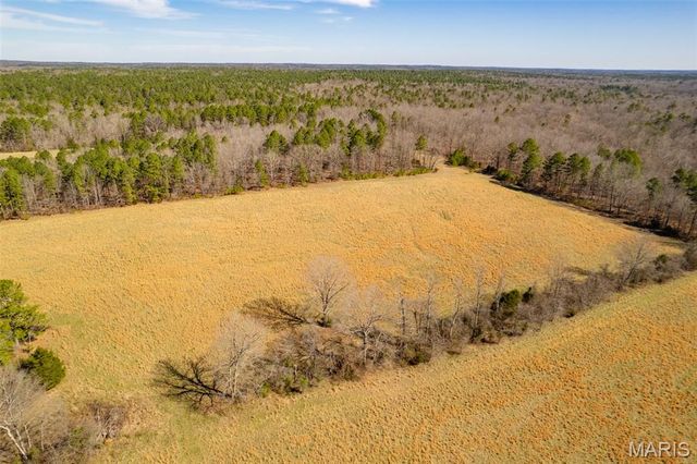 1091 Ripley J-2, Doniphan, MO 63935