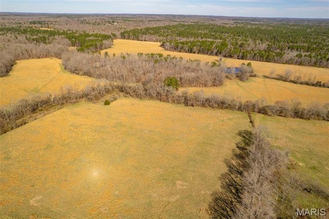 1091 Ripley J-2, Doniphan, MO 63935