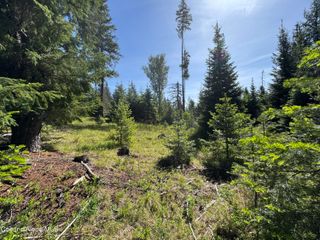 NNA Tanglewood Dr, Priest River, ID 83856