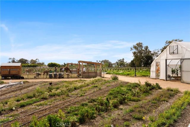 1101 Catania Court 202, Encinitas, CA 92024