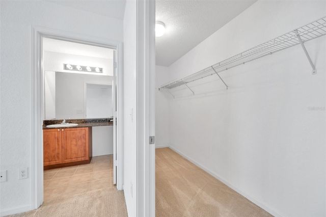 8206 BALLY MONEY ROAD, Tampa, FL 33610