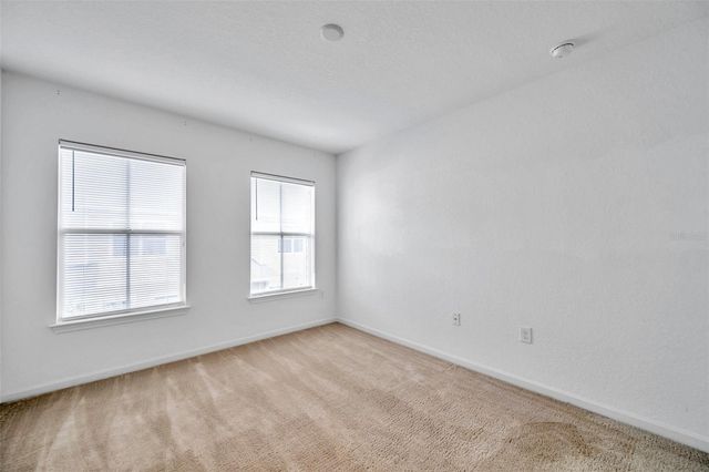 8206 BALLY MONEY ROAD, Tampa, FL 33610