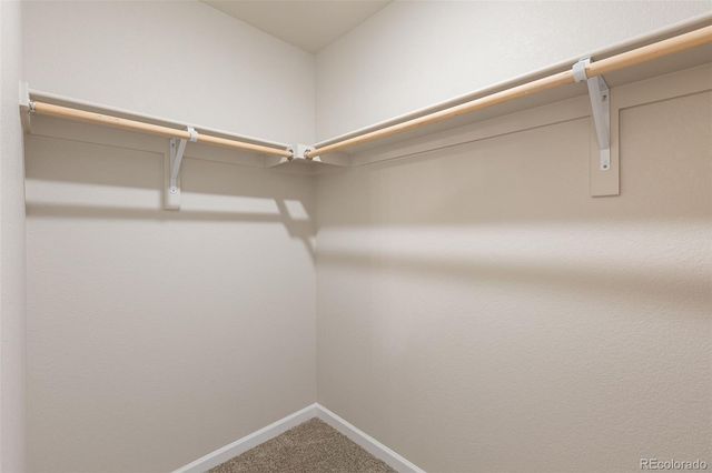 1444 Coral Place, Longmont, CO 80501