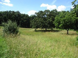 10.65/AC N HWY JAY JAY, TRACT 4, Centralia, MO 65240