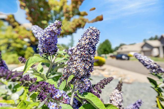 7090 Sinclair Dr, Shingle Springs, CA 95682