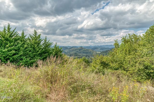 170 Parker Lane, Kingsport, TN 37660