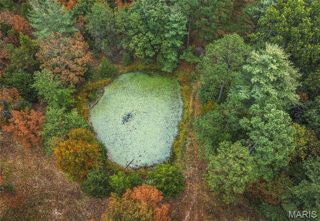 98 Pinecrest Lane, Steelville, MO 65565